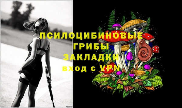 бутират Горняк