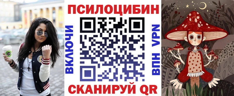 mega вход  продажа наркотиков  Чебоксары  Псилоцибиновые грибы MAGIC MUSHROOMS 